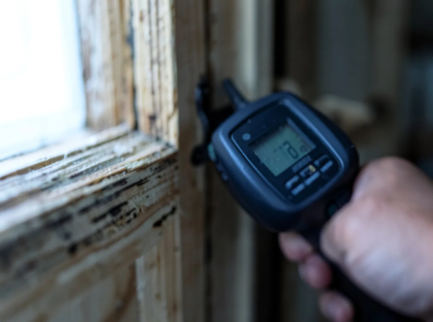 Moisture Inspection And Documentation in Winifrede, WV